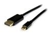 StarTech Mini DisplayPort to DisplayPort Adaptor Cable