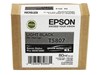 Epson T5807 Ink Cartridge - 80ml (Light Black)