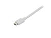 StarTech.com USB C To Displayport Cable 6 ft.
