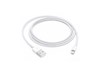 Apple 1m Lightning to USB 2.0 Cable