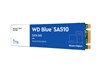 1TB Western Digital Blue SA510 M.2 2280 SATA III Solid State Drive
