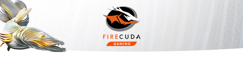 Seagate FireCuda Desktop Hybrid Hard Drives