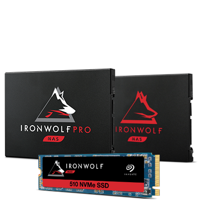 IronWolf SSDs