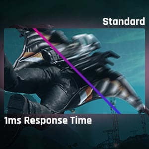 1MS (MPRT) RESPONSE TIME