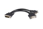 StarTech.com (0.2m) LFH 59 Male to Dual Female DVI I DMS 59 Cable DVI Cable Dual Link DMS-59 (M) DVI-I (F)