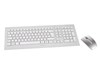 CHERRY DW 8000 Wireless Keyboard and Mouse Set (Silver/White) 