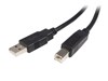 StarTech.com (5m) USB 2.0 A to B Cable - M/M