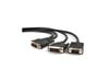 StarTech.com (6 feet) DVI-I Male to DVI-D Male and HD15 VGA Male Video Splitter Cable