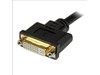 StarTech.com (8 inch) DVI-I Male to DVI-D Female and HD15 VGA Female Wyse DVI Splitter Cable
