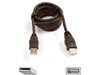 Belkin USB Extension Cable (1.8m)
