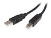 StarTech.com (0.5m) USB 2.0 A to B Cable - M/M