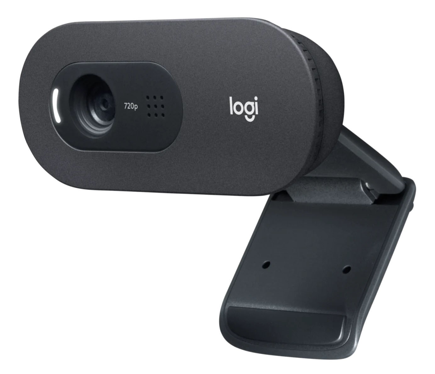 LOGITECH C505 HD Webcam