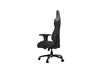 AndaSeat Dark Demon Premium Gaming Chair in Black