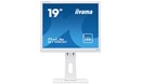 iiyama ProLite B1980D 19 inch Monitor - 1280 x 1024, 5ms, DVI