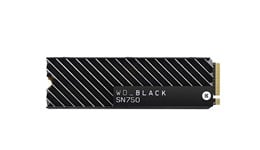 Western Digital Black SN750 M.2-2280 1TB