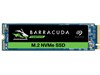 Seagate BarraCuda 510 250GB M.2-2280 SSD 