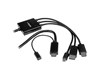 StarTech.com (2m) HDMI Displayport or Mini Dp to Hdmi Adaptor Cable (Black)