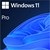 Microsoft Windows 11 Pro 64-bit, DVD, OEM Licence