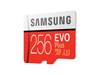 Samsung EVO Plus (2020) 256GB UHS-1 (U3) 