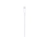 Apple 0.5m Lightning to USB Cable