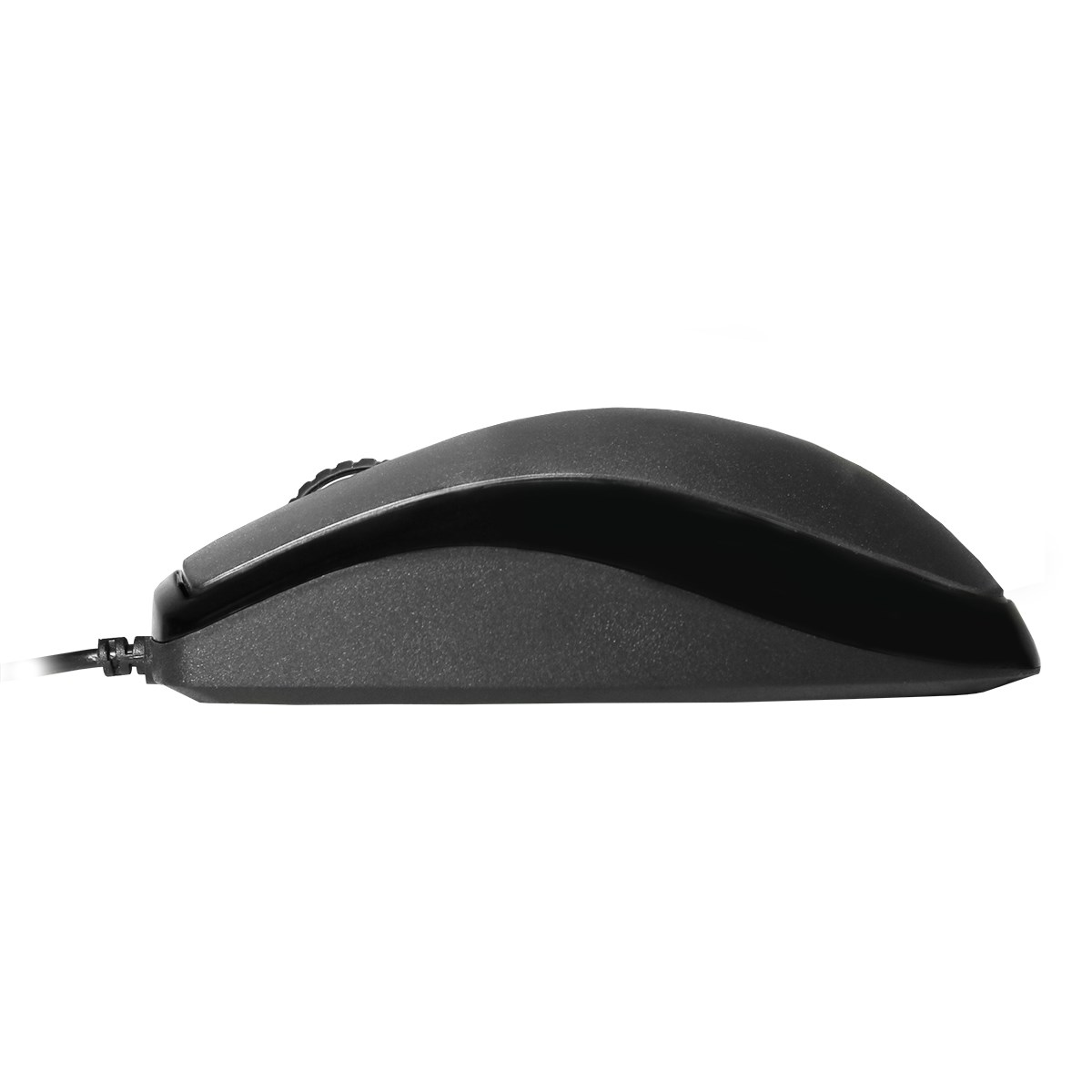 Generic Scroller USB Optical Mouse - MS-SCROLLER-LED | CCL