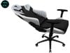 ThunderX3 TC5 MAX Gaming Chair in All White