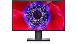 Dell UltraSharp U2520D 25" QHD Monitor - IPS, 60Hz, 8ms, HDMI, DP
