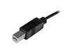 StarTech.com (2m) USB-C 2.0 to USB-B 2.0 Adaptor Cable (Black)
