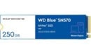 Western Digital Blue SN570 M.2-2280 250GB
