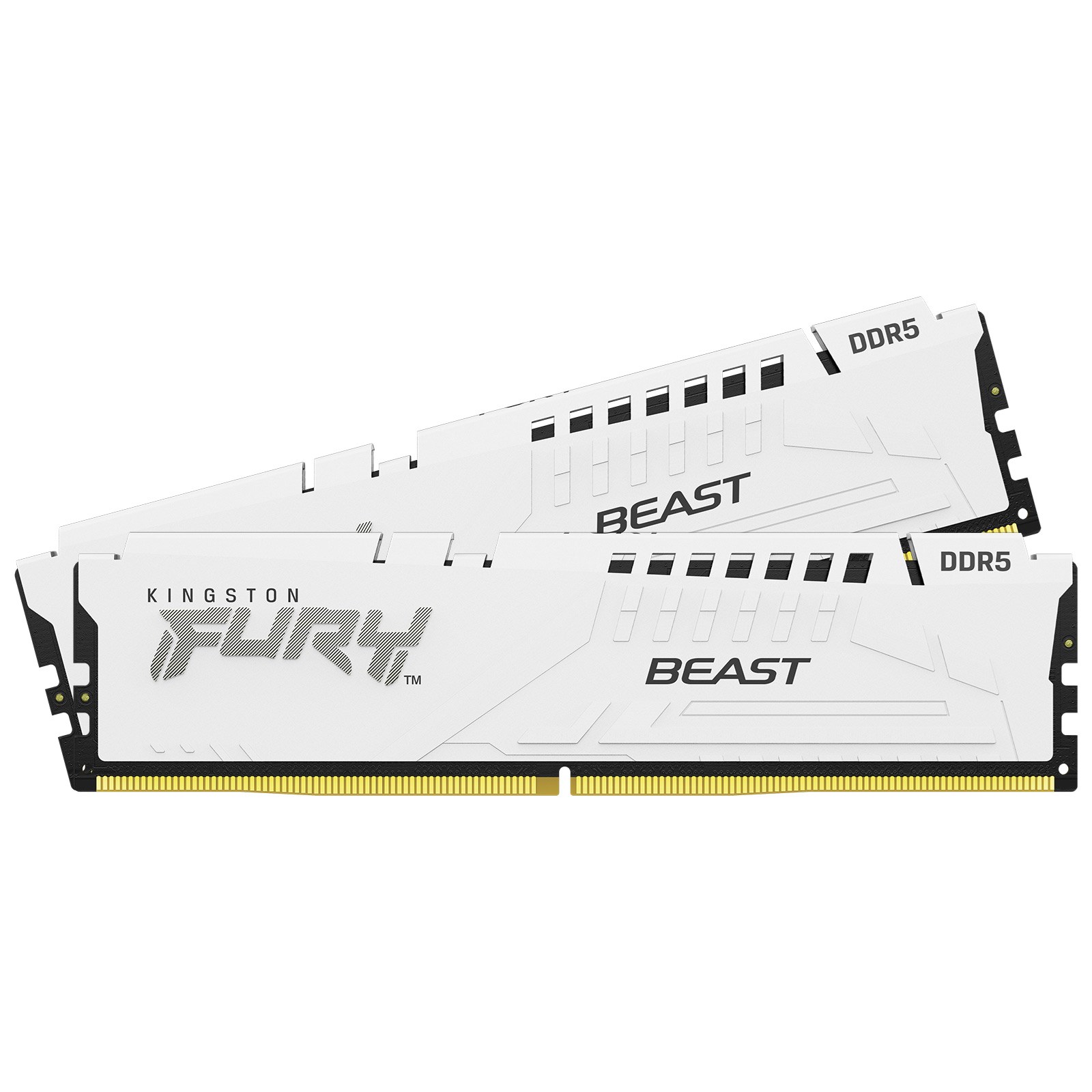 Kingston FURY Beast 64GB (2x 32GB) 6000MT/s DDR5 RAM