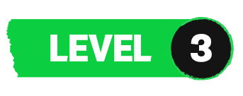 Level 3 - great price/performance
