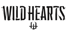 Best PCs for Wild Hearts