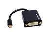 StarTech.com Mini DisplayPort to DVI Video Adaptor Converter